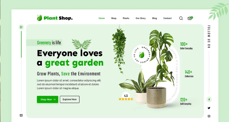 Shopify ecommerce website development